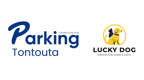 Logo du site