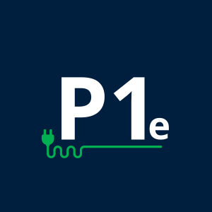 P1 parking électrique courte durée de 3 à 31 jours